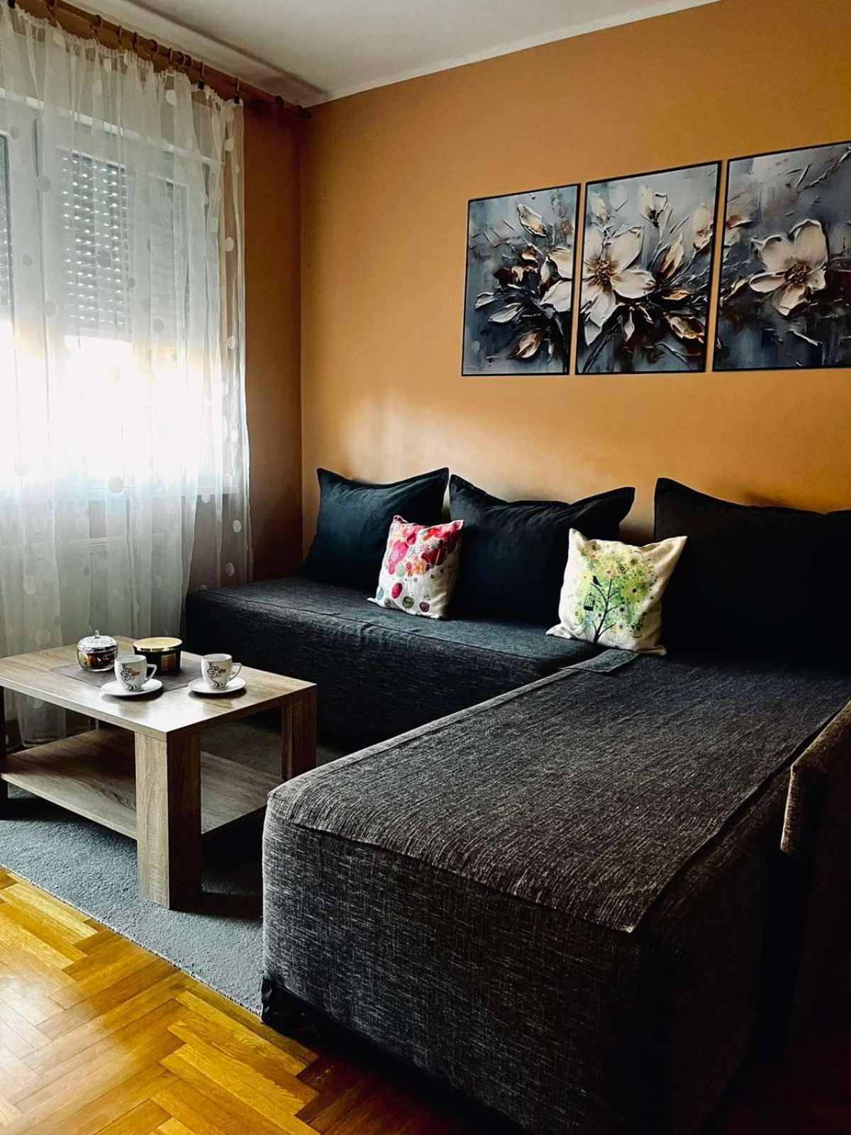 Apartman Milkovic 2 ソンボル エクステリア 写真