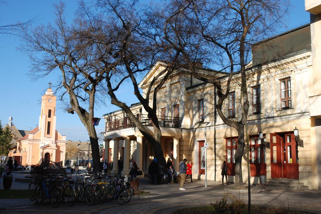 Apartman Milkovic 2 ソンボル エクステリア 写真